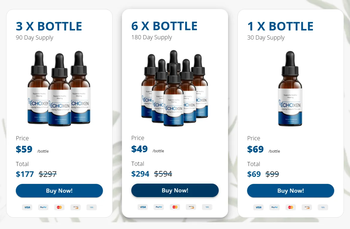 EchoXen price